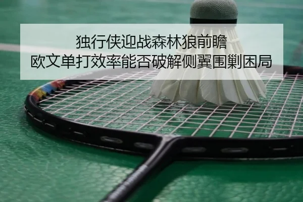 独行侠迎战森林狼前瞻 欧文单打效率能否破解侧翼围剿困局